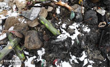 بازدید سفرا از تخریب اموال عمومی شهر 17