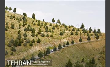 بوستان جنگلی کوهسار 23