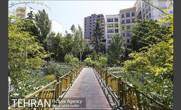 بوستان تندرستی 11