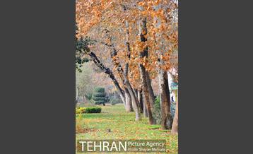 پاییز در پارک شهر 26