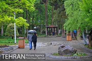 باران بهاری در تهران - 2 13
