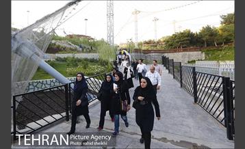 شبگردی اصحاب رسانه در منطقه چهار شهرداری تهران  12