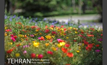 بوستان تمدن (گلبرگ) 25