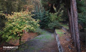 طبیعت پاییزی مجموعه فرهنگی تاریخی سعدآباد  39