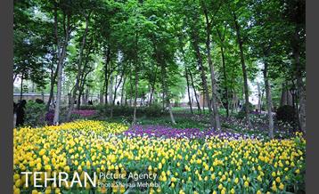 باغ ایراتی (بوستان مهندس مختاری) 26