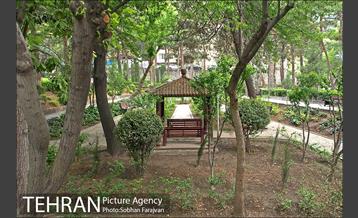 بوستان ساعی 14