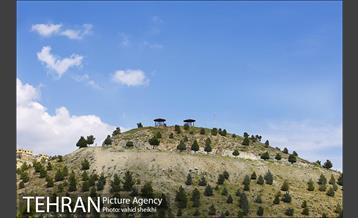 بوستان جنگلی کوهسار 21