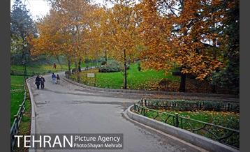 پاییز در بوستان ملت 15