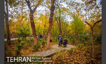 طبیعت پاییزی پارک شهر 6