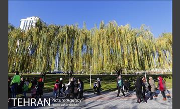 همایش بزرگ پیاده روی خانوادگی شهرداری تهران  20