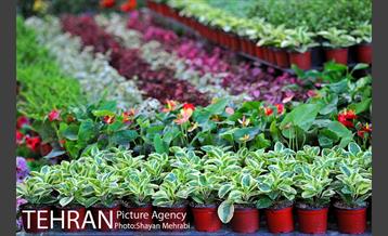 شانزدهمین نمایشگاه بین المللی گل و گیاه تهران - 2 7