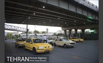 میدان شقایق‎ 10