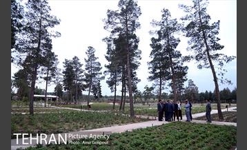 بازدید دبیر کل متروپلیس از دریاچه شهدای خلیج فارس 13