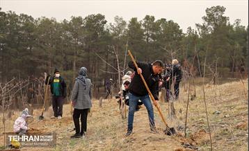 کاشت 2000 نهال مثمر در بوستان جنگلی چیتگر 9