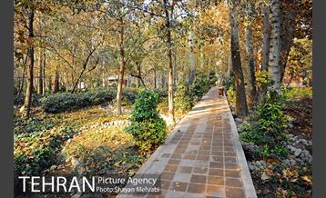 پاییز باغ ایرانی 39