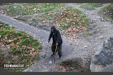 بازدید شهردار تهران از منطقه 2