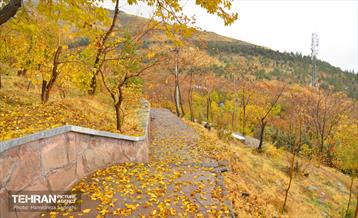 هوای پاییزی پایتخت 8