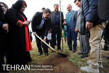 کاشت شش نهال درخت زیتون با حضور کارگرداران سینمای ایران 7