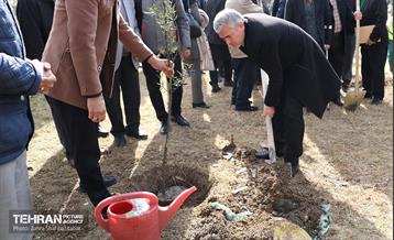 آیین پدران آسمانی  4