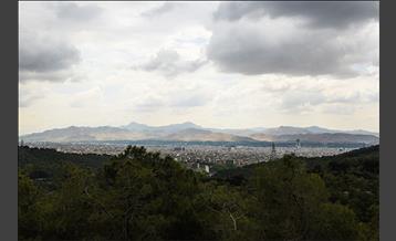 بوستان جنگلی لویزان 27