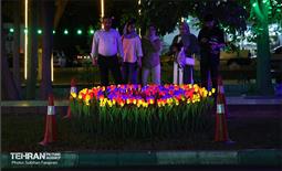 «جشن نور تهران» در بلوار کشاورز 22