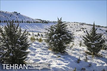 طبیعت برفی تلو 3