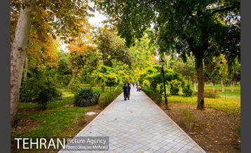 پاییز پارک شهر 18