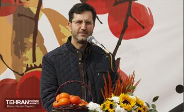 پنجمین جشنواره خرمالوی کن 11