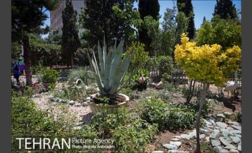 آیین افتتاحیه سه طرح مدیریت پسماند در منطقه ۵