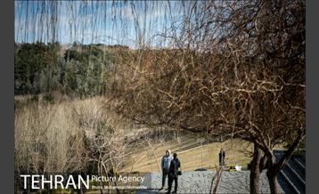 هوای پاک تهران 8