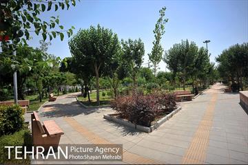 بوستان الغدیر 11