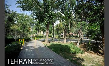 بوستان هفت چنار 11