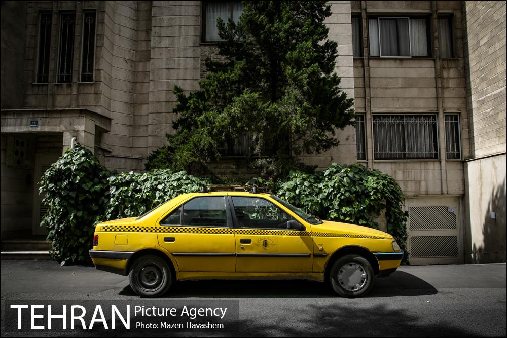 شهرنگار؛ محله بهار 6