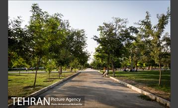 شهرنگار؛ بوستان قائم 12