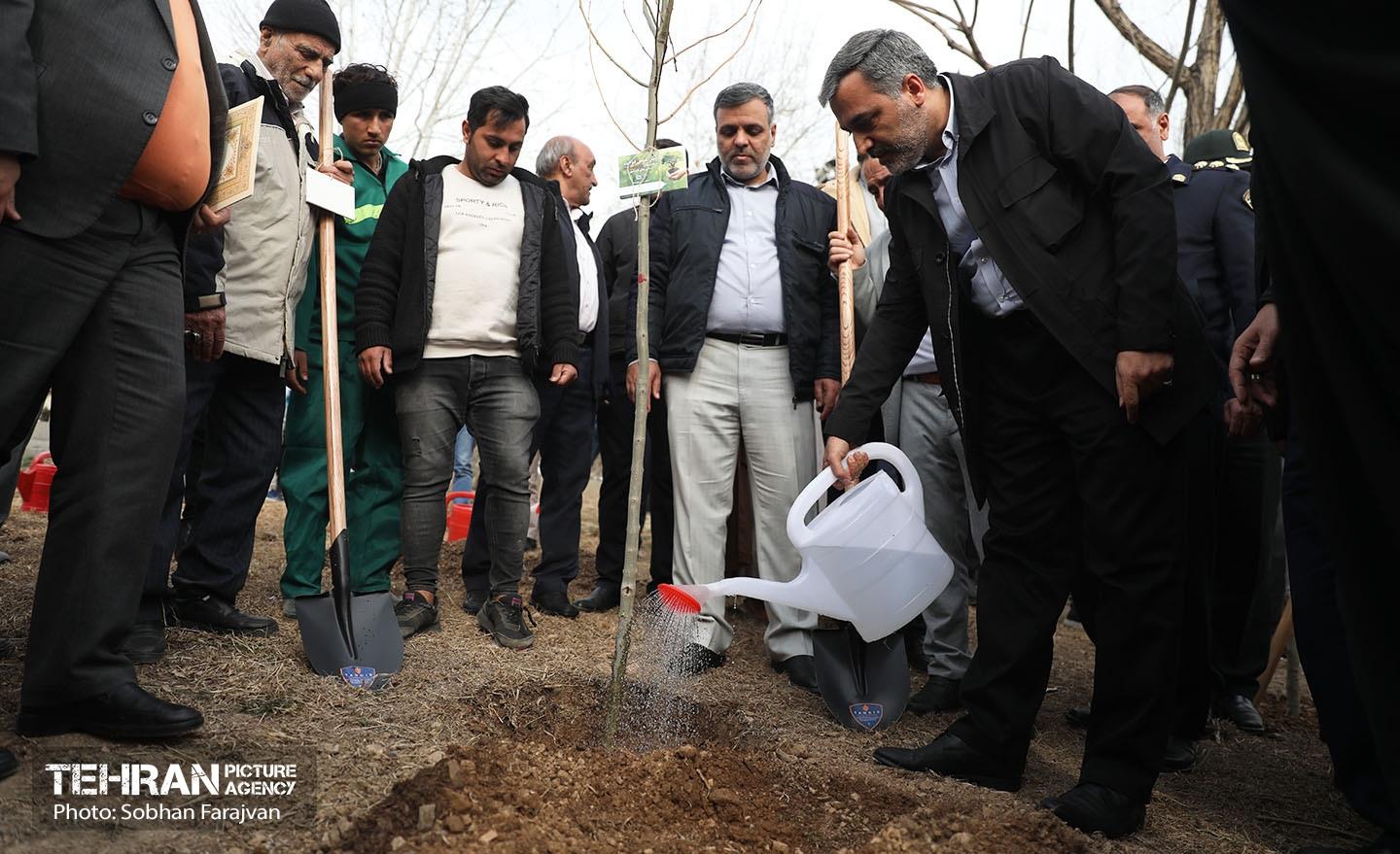 آئین غرس درخت به پاسداشت شهدای منطقه ۵ 11
