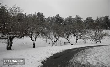 روز برفی تهران - 2 27