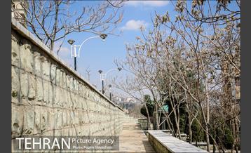 گورستان جوزدرختک(آجودانیه) 13