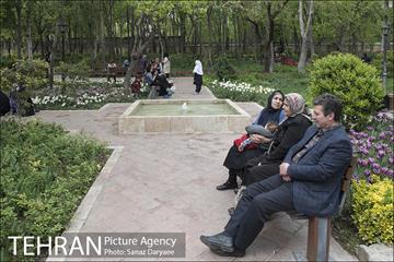 بوستان باغ ایرانی 22