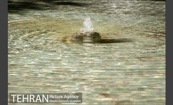 بوستان باغ ایرانی 5
