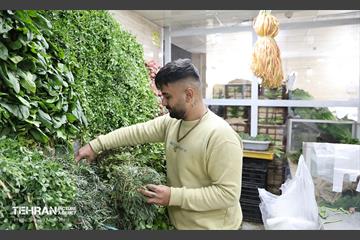 به وقت خدمت؛ بازار میوه تره‌بار 35