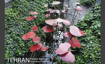 بلوار کشاورز 34