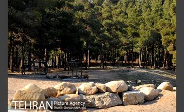 پارک جنگلی سرخه حصار 31