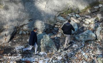 اجرای طرح ضربتی پاکسازی دره فرحزاد 8