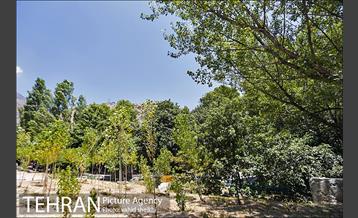 محله گلابدره تهران 25