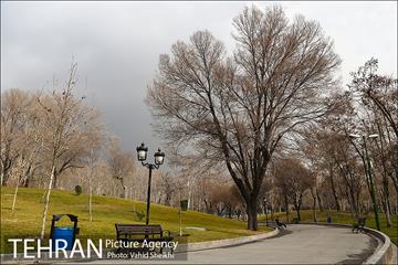 پارک ملت در یک روز زمستانی 1