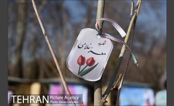 آیین درختکاری با حضور دکتر بطحایی وزیر محترم آموزش و پرورش 8