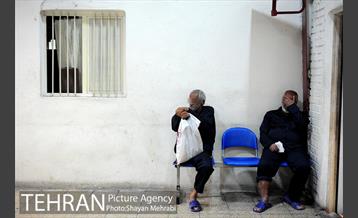 گرمخانه ها، دور از سرما 19