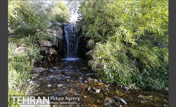 باغ گیاه شناسی ملی ایران  22