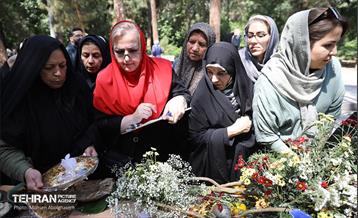 جشنواره غذای سالم 13