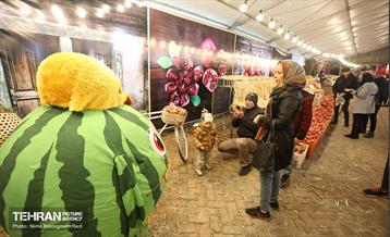 جشنواره انار در بوستان آب و آتش  3